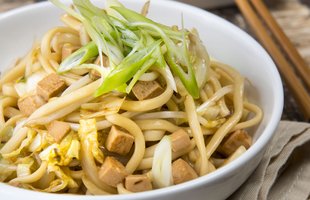 salt free udon noodles