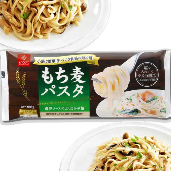 Mochimugi Barley Pasta Noodles - Hakubaku USA | Authentic Noodles & more  from Japan